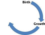 Circle_BirthGrowth